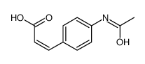 (2E)-3-[4-(ACETYLAMINO)PHENYL]-2-PROPENOIC ACID structure