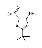 3-AMINO-5-TERT-BUTYL-2-NITRO-THIOPHENE Structure