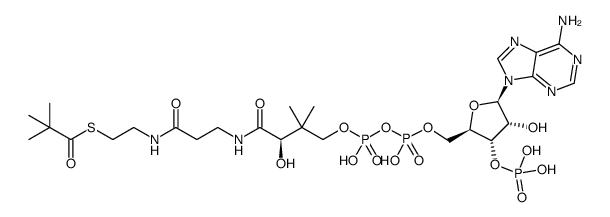 2,2-dimethylpropionyl-CoA结构式