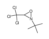 2-t-Butyl-3-(trichloromethyl)oxaziridine Structure