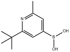 2-Methyl-6-(tert-butyl)pyridine-4-boronic acid structure