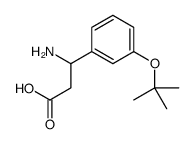 3-氨基-3-(3-叔丁氧基苯基)丙酸图片