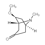 6B-甲氧基-3-托品酮结构式