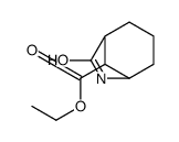 ethyl 7-oxo-6-azabicyclo[3.2.1]octane-8-carboxylate结构式