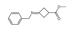 methyl 3-(benzylimino)cyclobutanecarboxylate Structure