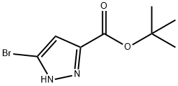 5-溴-1H-吡唑-3-羧酸叔丁酯结构式