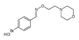 (E)-1-(4-bromophenyl)-N-(2-morpholin-4-ium-4-ylethoxy)methanimine,chloride结构式