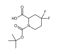 1-(叔丁氧基羰基)-4,4-二氟哌啶-2-羧酸图片