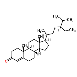 Sitostenone Structure