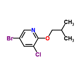 1289093-31-7 structure