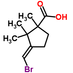 (3E)-3-(Bromomethylene)-1,2,2-trimethylcyclopentanecarboxylic acid图片