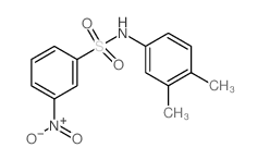 N-(3,4-Dimethylphenyl)-3-nitrobenzenesulfonamide picture