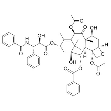 Paclitaxel Structure