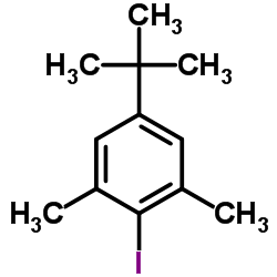 5-tert-Butyl-2-iodo-1,3-dimethylbenzene Structure