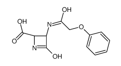 (2R,3R)-4-oxo-3-[(2-phenoxyacetyl)amino]azetidine-2-carboxylic acid Structure