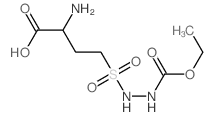 Hydrazinecarboxylicacid, 2-[(3-amino-3-carboxypropyl)sulfonyl]-, 1-ethyl ester (9CI)结构式