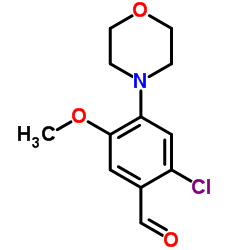 886499-81-6 structure