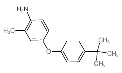 4-[4-(tert-Butyl)phenoxy]-2-methylphenylamine结构式