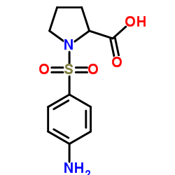 1-[(4-Aminophenyl)sulfonyl]proline结构式