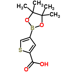 4-(4,4,5,5-四甲基-1,3,2-二氧硼杂环戊烷-2-基)噻吩-2-羧酸图片