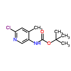 2-Methyl-2-propanyl (6-chloro-4-methyl-3-pyridinyl)carbamate Structure