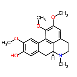 波尔定碱 2-甲醚图片