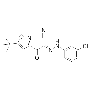 ESI 09 structure