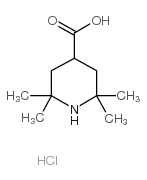 2,2,6,6-Tetramethylpiperidine-4-carboxylicacid picture