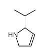 2-isopropyl-2,5-dihydro-1H-pyrrole(SALTDATA: FREE)结构式