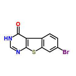 884873-96-5 structure