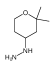 (2,2-dimethyltetrahydro-2H-pyran-4-yl)hydrazine结构式