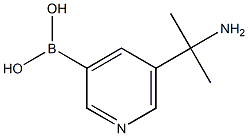 (5-(2-氨基丙-2-基)吡啶-3-基)硼酸图片