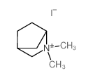 6,6-dimethyl-6-azoniabicyclo[2.2.1]heptane Structure