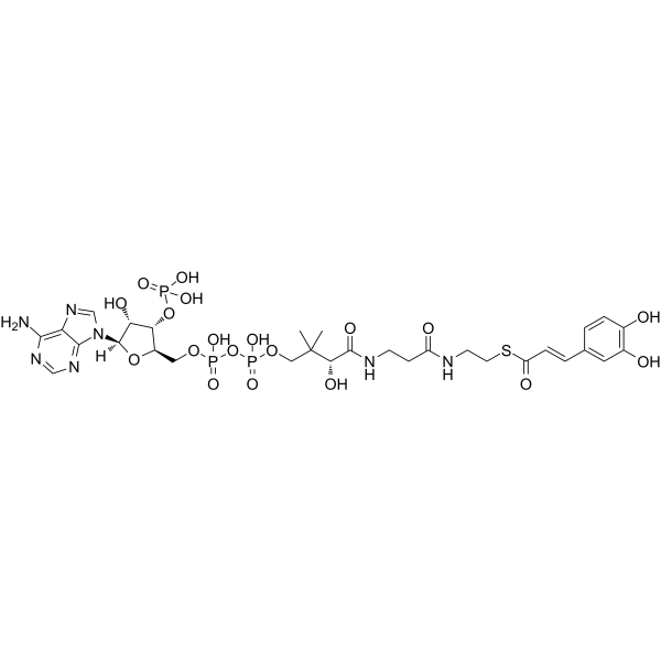 Caffeoyl-Coenzym A picture