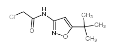 N-(5-(叔丁基)异恶唑-3-基)-2-氯乙酰胺结构式