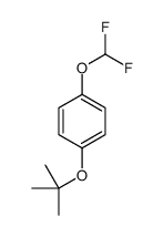 1-(difluoromethoxy)-4-[(2-methylpropan-2-yl)oxy]benzene Structure