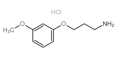 3-(3-METHOXY-PHENOXY)-PROPYLAMINE HYDROCHLORIDE picture