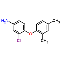 3-Chloro-4-(2,4-dimethylphenoxy)aniline结构式