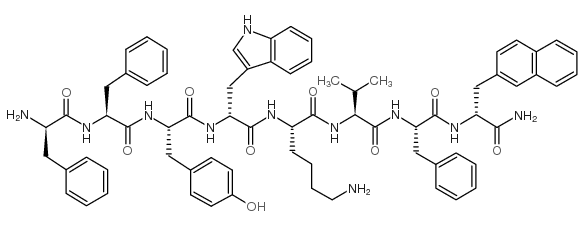 BIM 23056 Structure