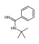 N'-tert-butylbenzenecarboximidamide结构式