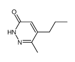 3(2H)-Pyridazinone, 6-methyl-5-propyl- (9CI) Structure