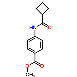 733763-87-6 structure