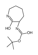 106691-72-9 structure