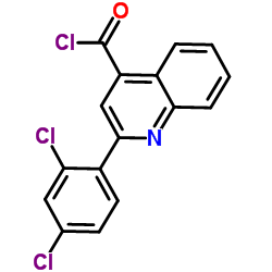 2-(2,4-Dichlorophenyl)-4-quinolinecarbonyl chloride图片