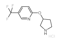 2-(3-Pyrrolidinyloxy)-5-(trifluoromethyl)pyridinehydrochloride结构式