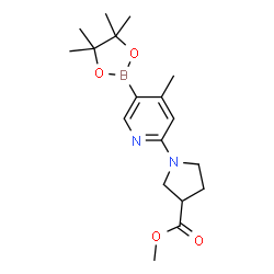 Methyl 1-(4-Methyl-5-(4,4,5,5-tetramethyl-1,3,2-dioxaborolan-2-yl)pyridin-2-yl)pyrrolidine-3-carboxylate Structure