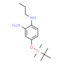 4-(tert-butyldimethylsilyloxy)-n1-propylbenzene-1,2-diamine picture