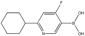 4-Fluoro-2-(cyclohexyl)pyridine-5-boronic acid picture