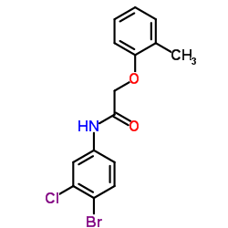 328025-88-3结构式