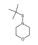 4-tert-butylsulfanyl-morpholine结构式